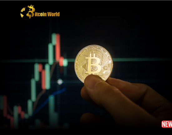 btc holder 2