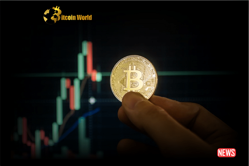 btc holder 2