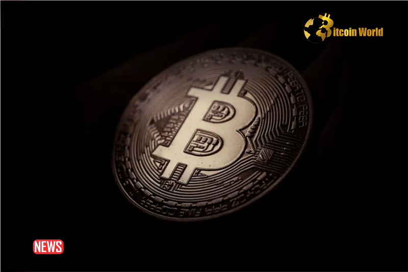 Bitcoin Inscriptions Reach Mania Levels Again, Miners Benefit