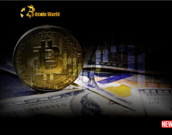 btc investment