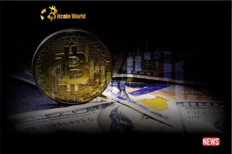 btc investment