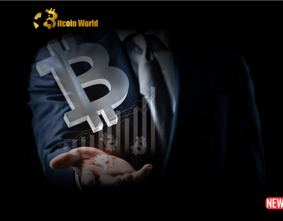 btc investor