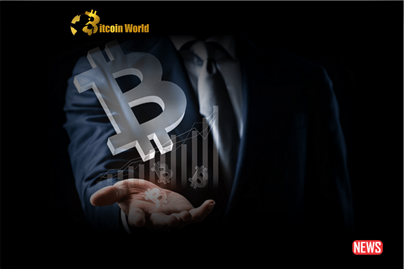 btc investor