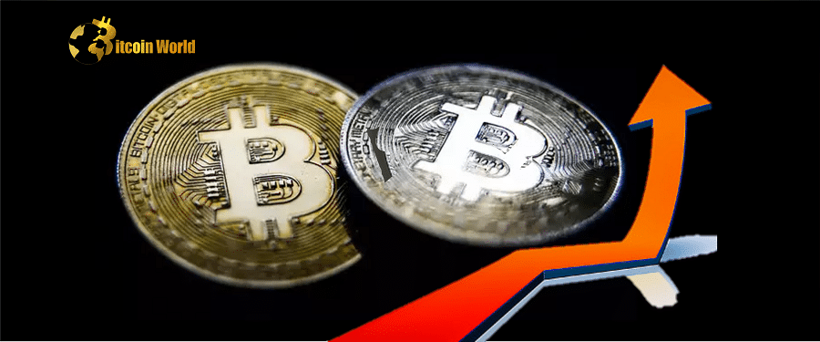btc is risi