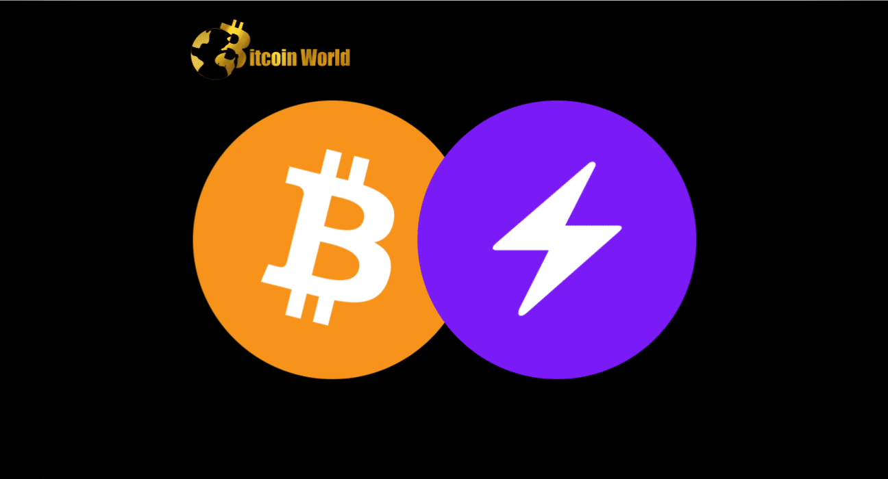 These BTC Lightning Network Capacity Stats Can Help You Take Informed Decision
