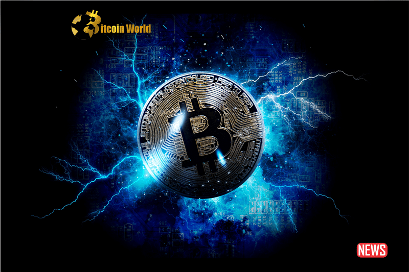 btc lightening ntwk