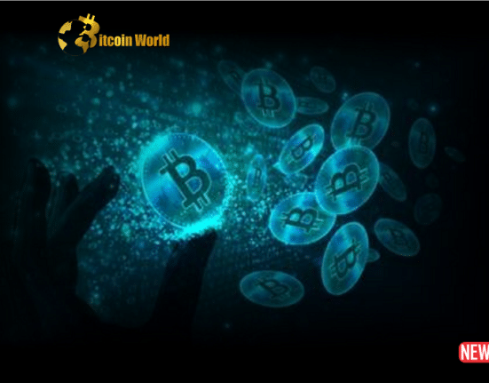 btc network 1