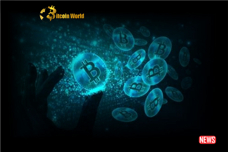btc network 1