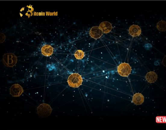 btc network
