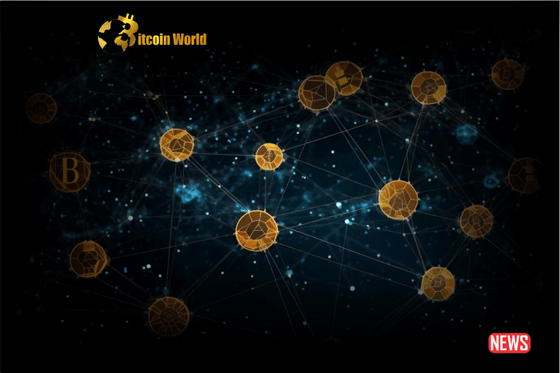 btc network