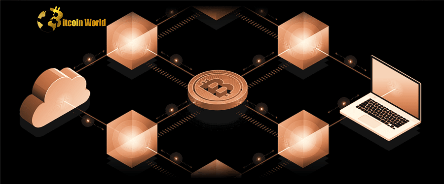 Bitcoin On-Chain Data and BTC's Recent Price Rally Point to a Healthier Ecosystem