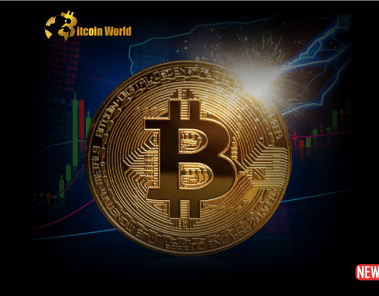 btc option