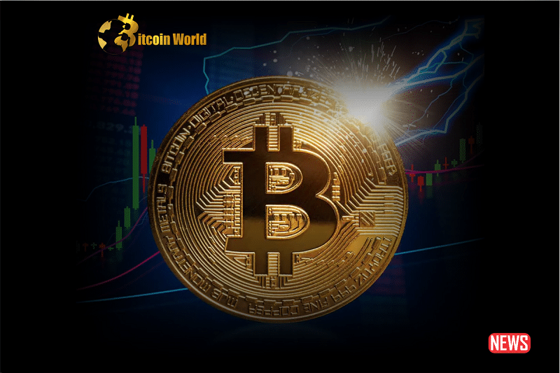 btc option