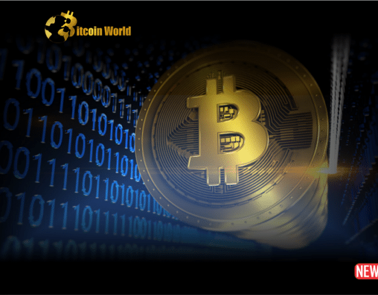 btc ordinal and ins