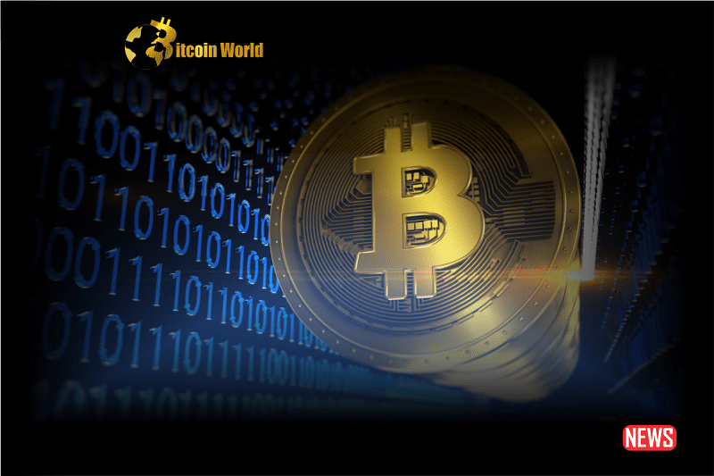 btc ordinal and ins