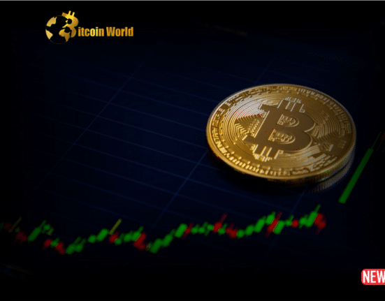 btc path to