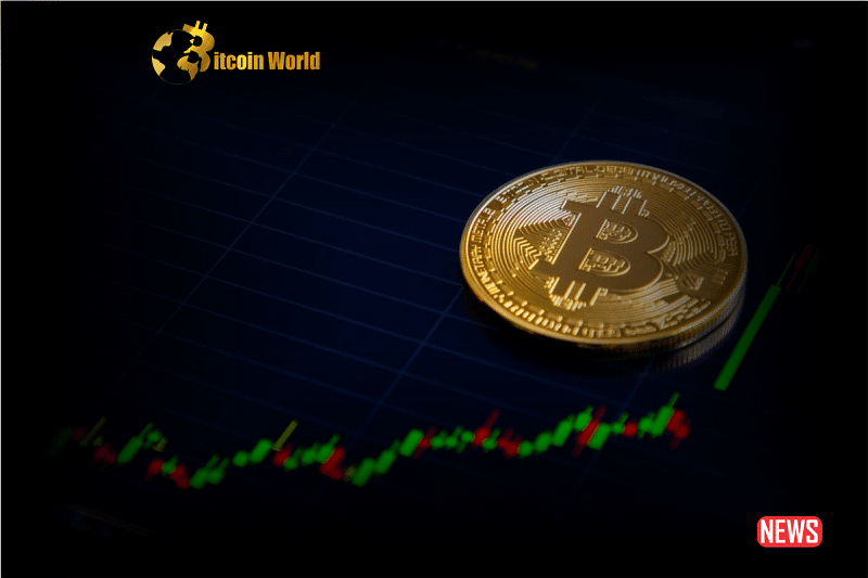 btc path to