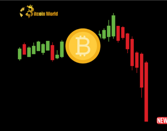 btc price 1 1