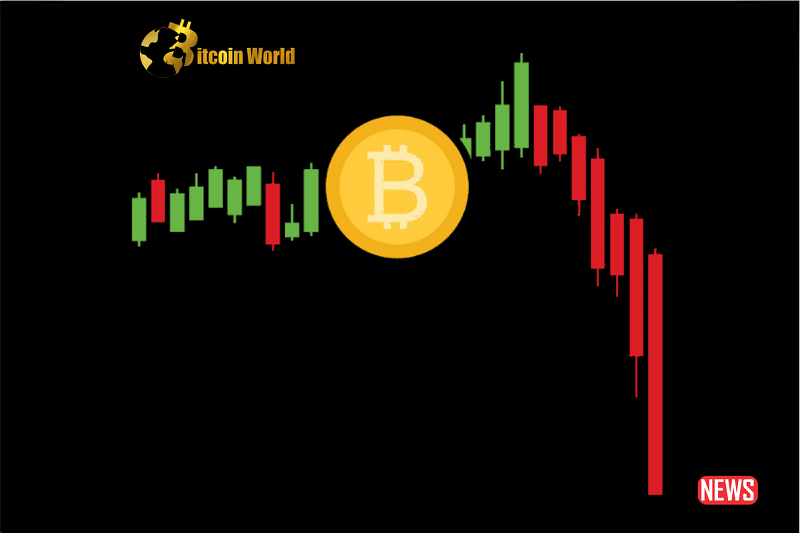 btc price 1 1