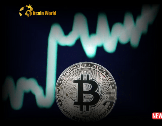 btc price 1 2