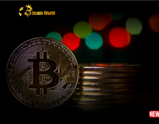 btc price conso