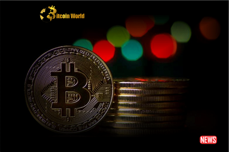 btc price conso