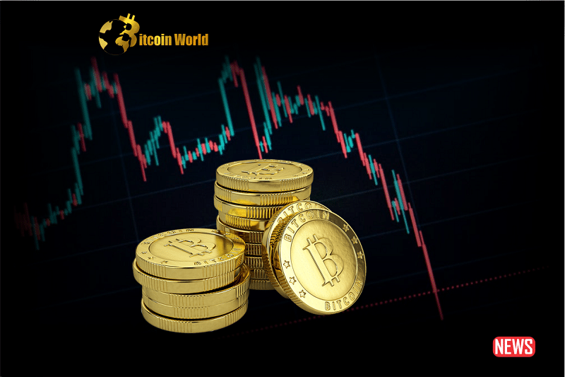 btc price fall