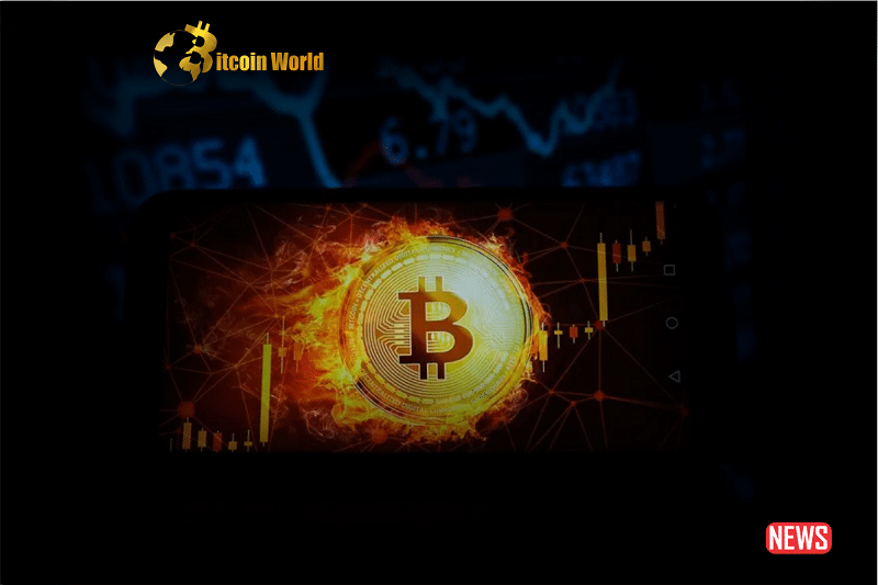 btc price predi