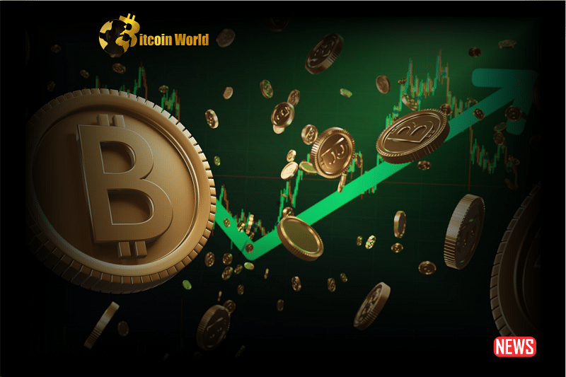 btc price rise
