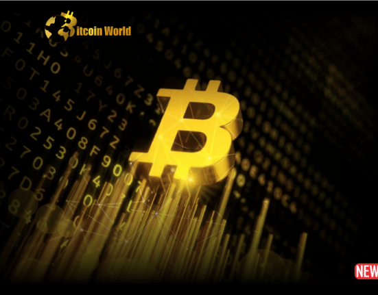 btc proce anal