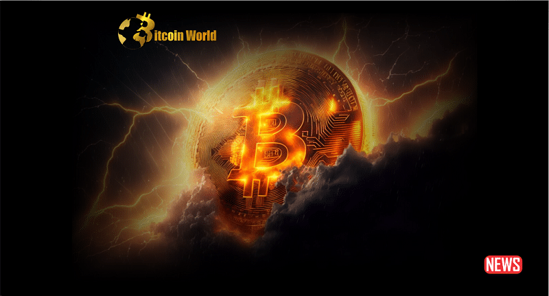 btc proce swing