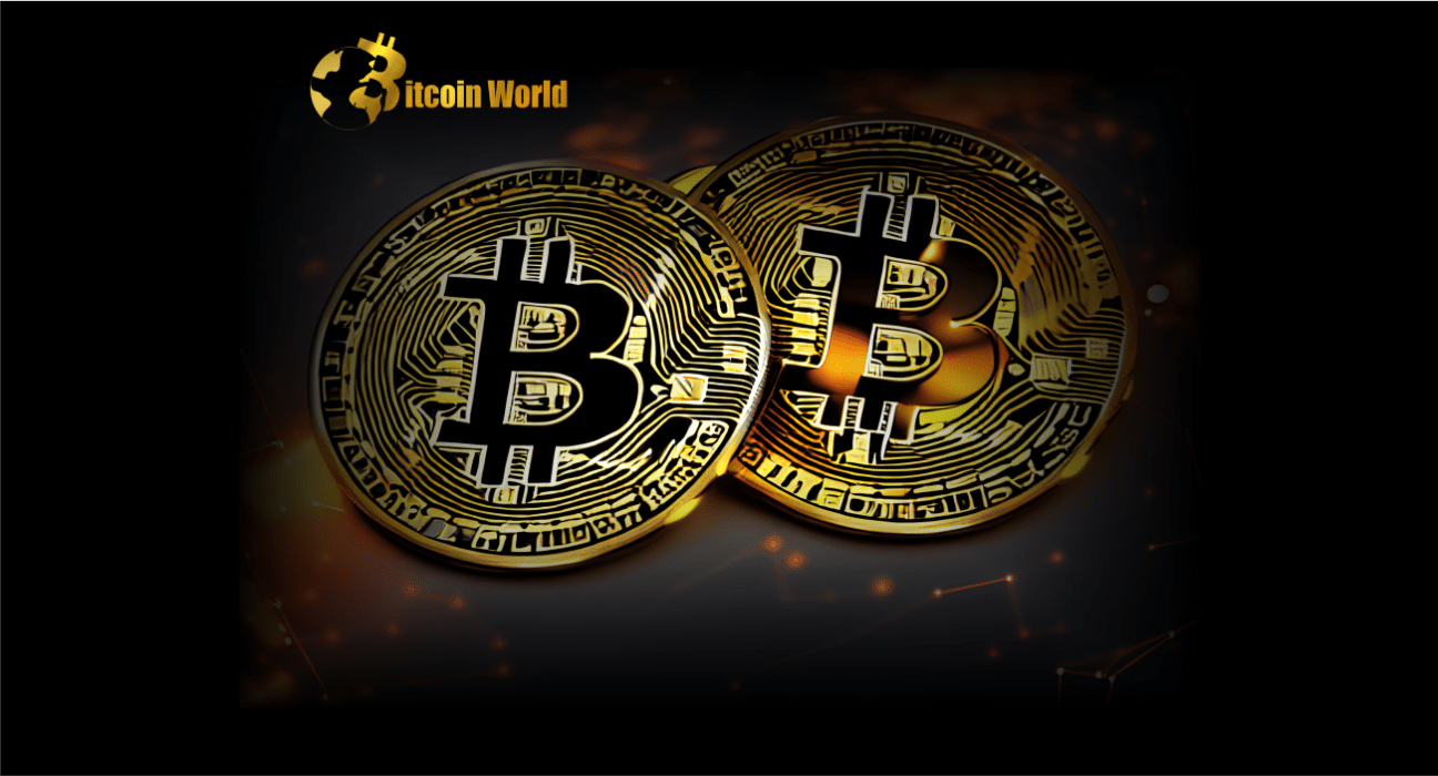 Bitcoin Price Rally Loses Steam But This Support Might Spark Another Surge