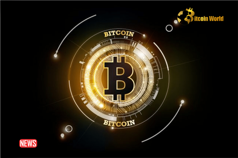 What A Strong Rebound? Bitcoin Nears $43,000 Post Fed Rate Decision