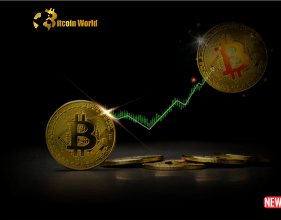 btc rebound