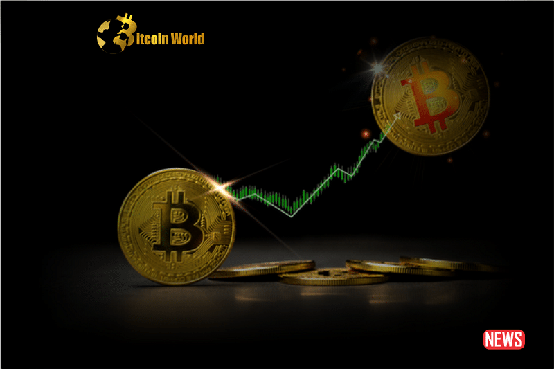 btc rebound