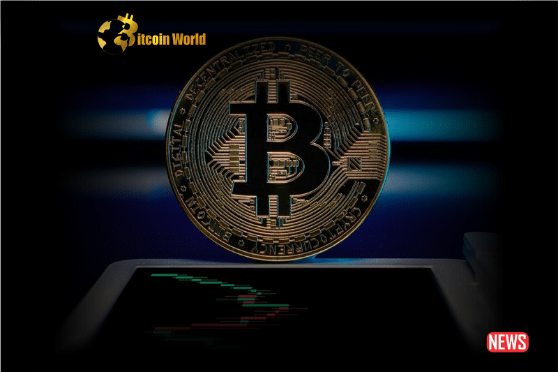 btc recovery 1