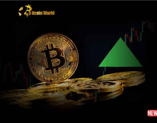 btc recovery