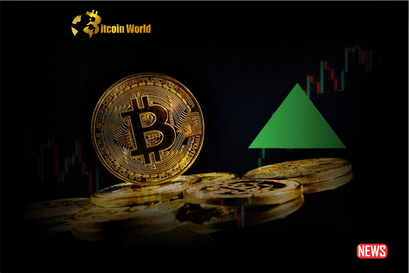 btc recovery