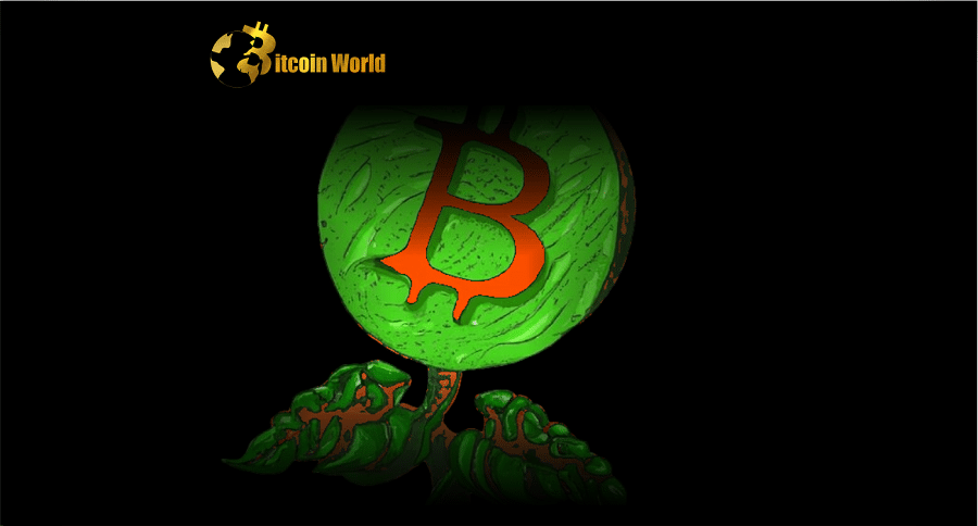 btc ris