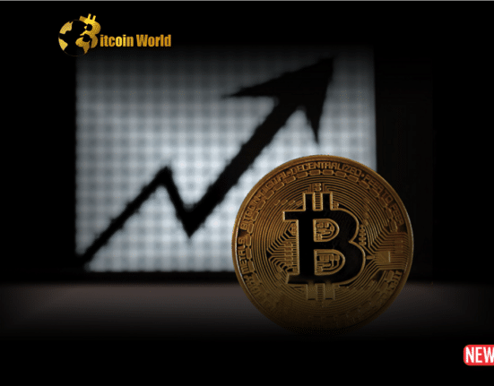 btc rise 2