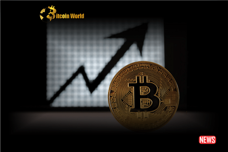 btc rise 2