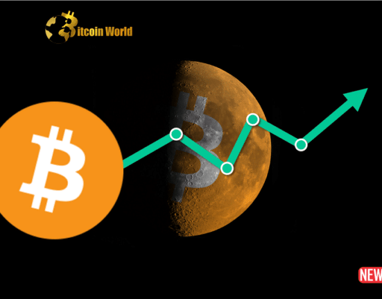 btc rise to 40