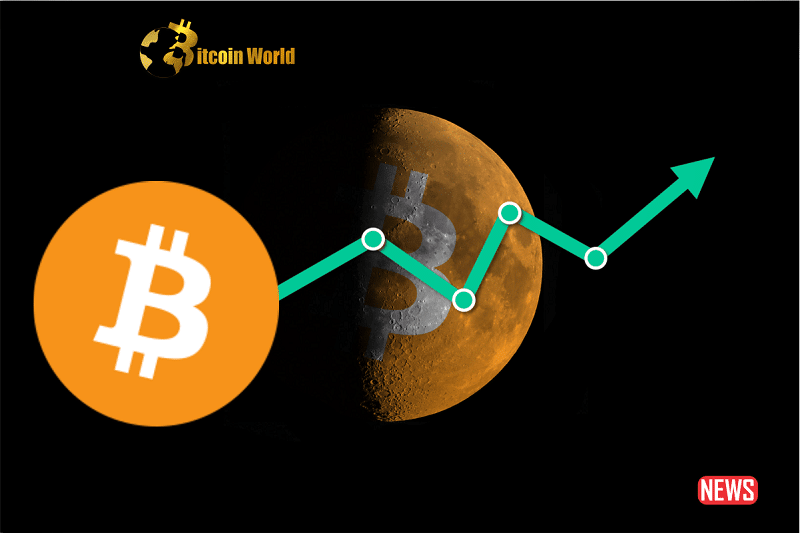 btc rise to 40