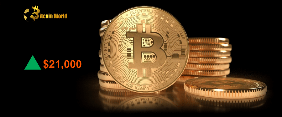 btc rise