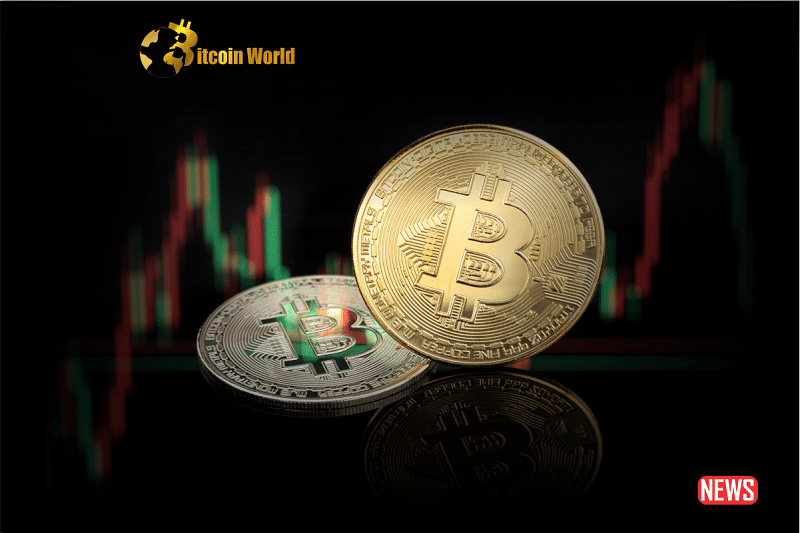 btc slide