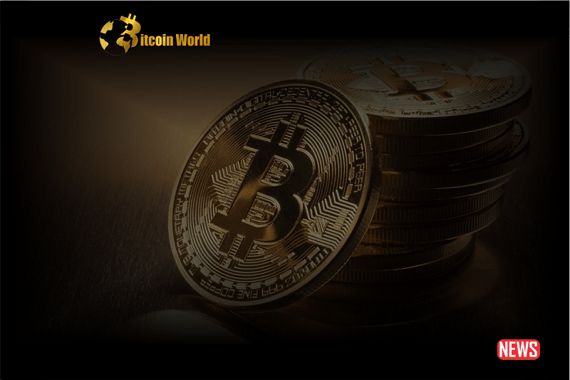 btc stable