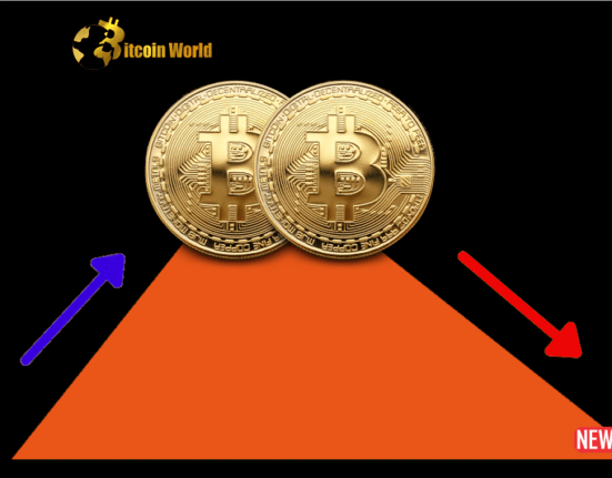 btc steady