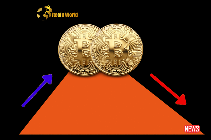 btc steady