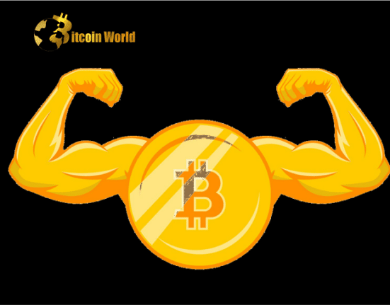 Bitcoin Is Being Made Great Again