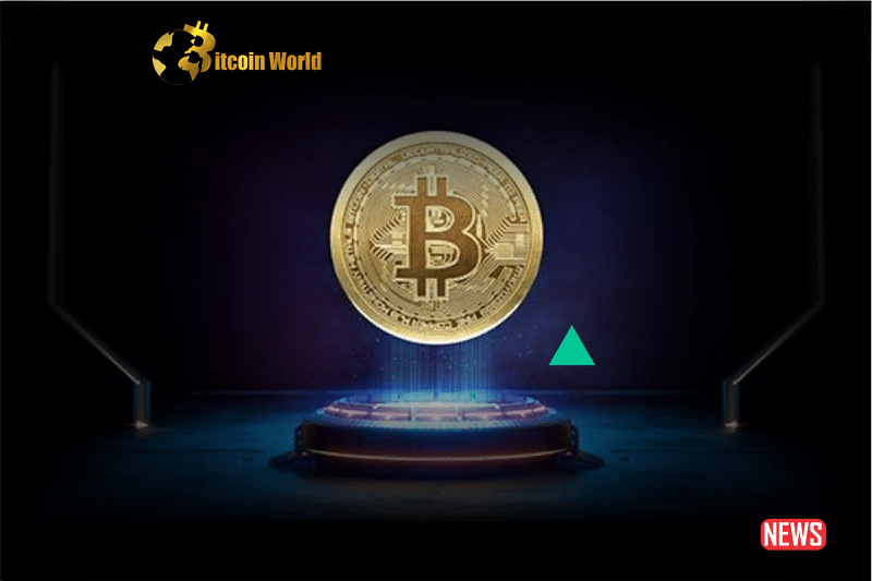 btc surge 1